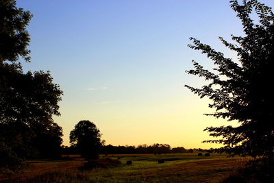 Silhouette of trees on landscape against sky