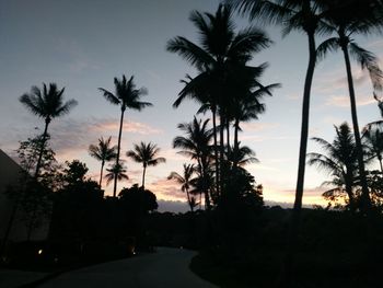 Silhouette palm trees by swimming pool against sky at sunset