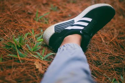 Low section of person wearing shoes on field