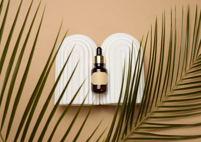 Glass brown bottle with pipette and paper blank label on light brown background, near palm 