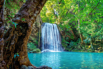 Scenic view of waterfall in forest