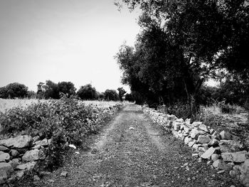 Footpath amidst trees on field against sky