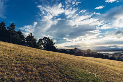 Scenic view of field against sky