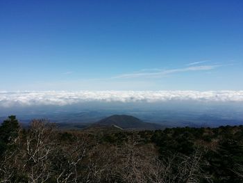 Scenic view of landscape against blue sky