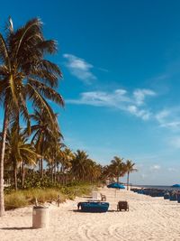 Palm trees on beach against blue sky