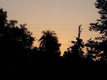 Low angle view of silhouette trees against sky at sunset