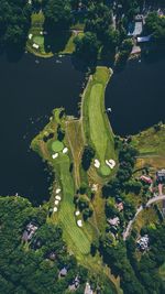 Aerial view of bay amidst field