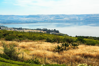 Scenic view of green landscape and sea against sky