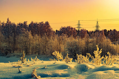 Trees on snow covered field against sky during sunset