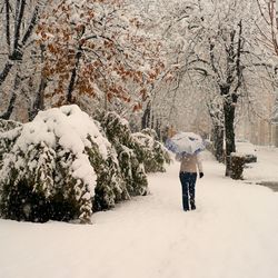 Rear view of person standing on snow covered land