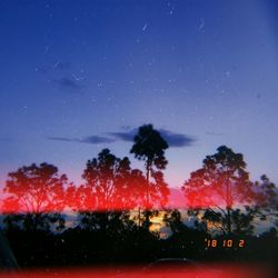 Silhouette trees against sky at night