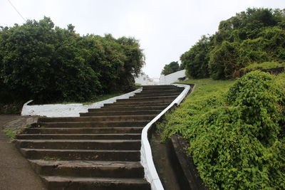 Low angle view of steps amidst trees against sky