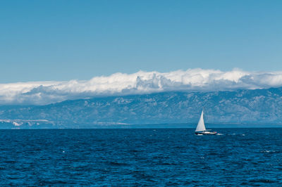 Sailboat sailing in sea against blue sky