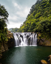 Scenic view of waterfall in forest