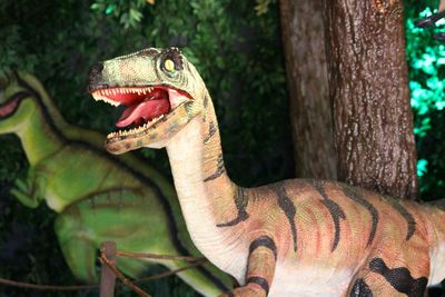 Close-up of dinosaur animal representation