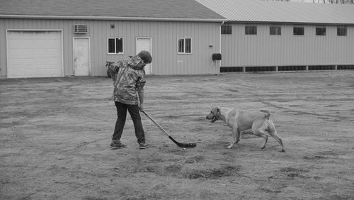 Playful dog and boy standing on field
