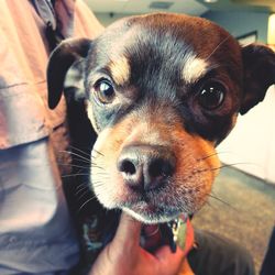 Close-up portrait of person with dog