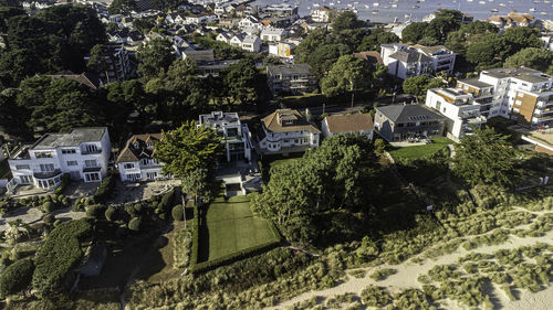 High angle view of trees and buildings in town