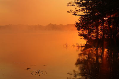 Silhouette tree by lake against sky during sunset