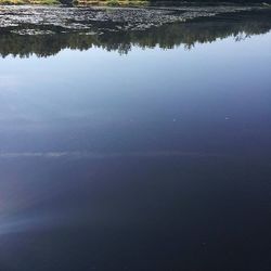 Reflection of trees in water