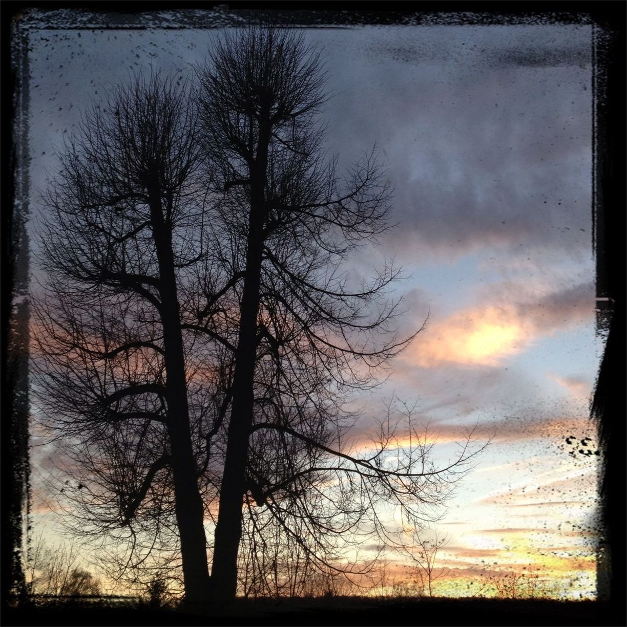 transfer print, sunset, bare tree, sky, silhouette, auto post production filter, tranquility, tree, tranquil scene, scenics, cloud - sky, beauty in nature, nature, branch, sun, idyllic, cloudy, cloud, orange color, dramatic sky