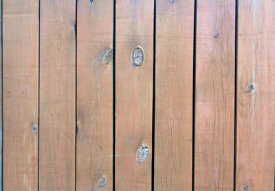 Close-up of wood
