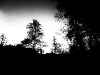 Low angle view of silhouette trees against sky