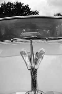 Close-up of car on glass