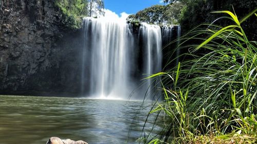 Scenic view of waterfall in forest