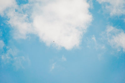 Low angle view of birds flying in sky