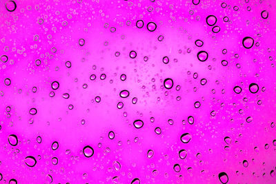 Close-up of water drops on pink window