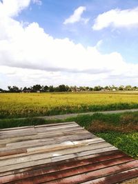 Scenic view of field against sky