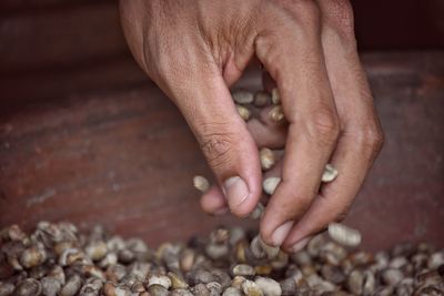 Cropped hand spilling seeds