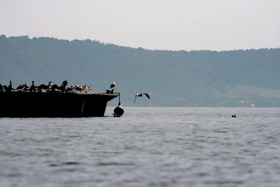 People in sea against clear sky