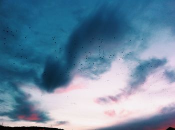 Low angle view of birds flying in sky