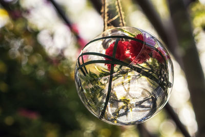 Close-up of crystal ball hanging on glass