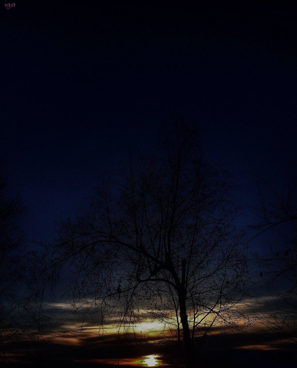 bare tree, tranquility, tranquil scene, silhouette, tree, scenics, beauty in nature, nature, landscape, sky, branch, sunset, idyllic, non-urban scene, dusk, dark, field, night, outdoors, tree trunk