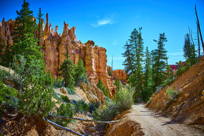 wilderness