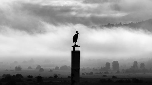 Low angle view of statue against sky