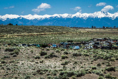 Scenic view of rural landscape