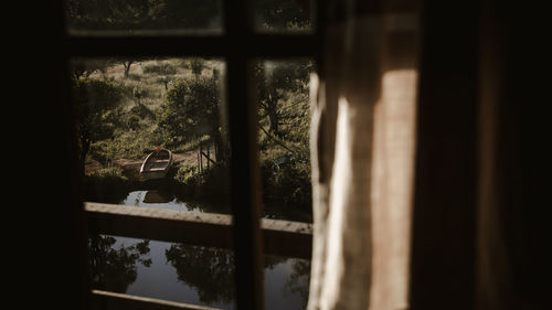 Reflection of trees in glass window