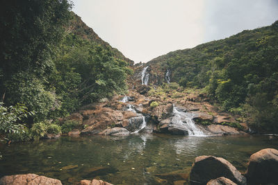 River flowing through rocks in forest against sky