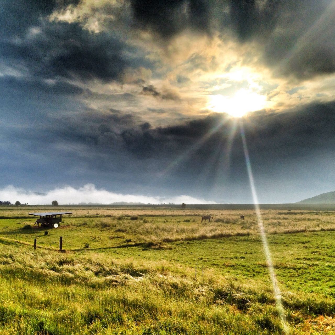 grass, sky, field, landscape, sun, grassy, sunbeam, tranquil scene, cloud - sky, tranquility, scenics, beauty in nature, nature, sunlight, green color, cloud, cloudy, lens flare, rural scene, idyllic