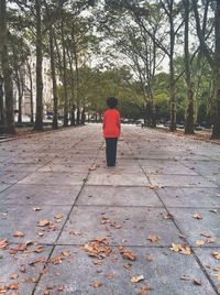 People walking on footpath