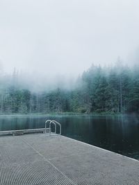 Scenic view of lake in forest against sky