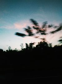 Silhouette trees against sky at sunset