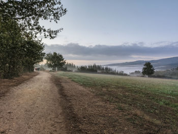 Road amidst field against sky