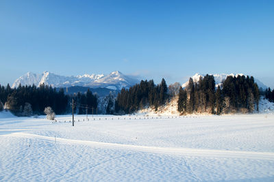 The wild and the tame emperor of the kaiser mountains in tyrol austria snow covered
