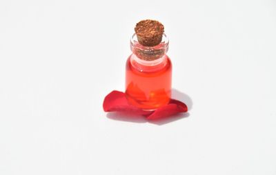 Close-up of red rose over white background