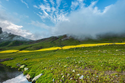 Scenic view of field against sky